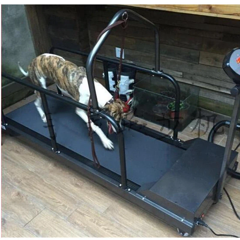 dog treadmill cheap